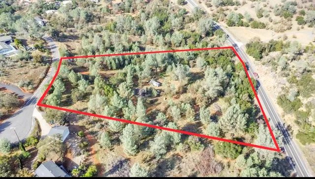 a view of a yard with a tree