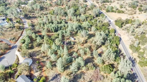 a view of yard and trees