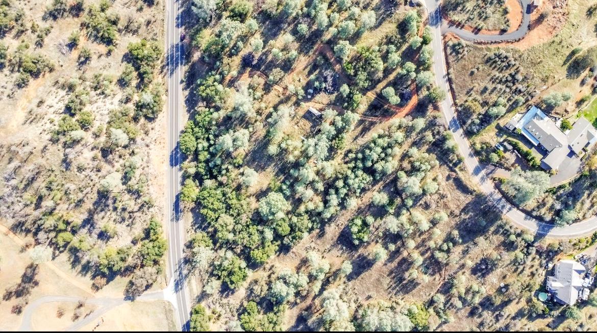 232 Pinon Drive Copperopolis, CA 95228 - Photo 4 of 7 a picture of a tree