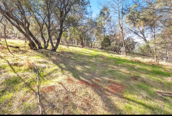 a view of dirt yard with a tree