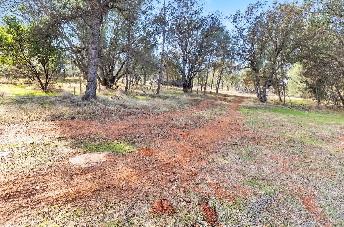 232 Pinon Drive Copperopolis, CA 95228 - Photo 6 of 7 a view of outdoor space with trees