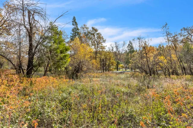 $89,950 | 24929 Highway 88, Pioneer, CA 95666