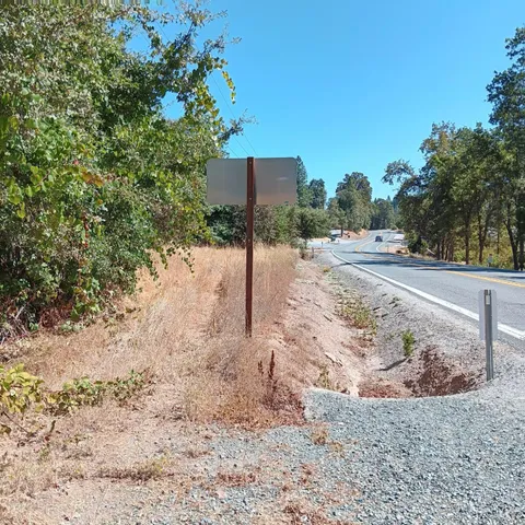 a view of a yard along with trees