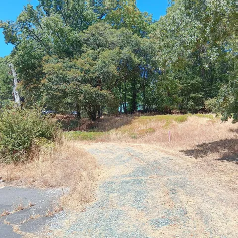 a view of a yard with a tree