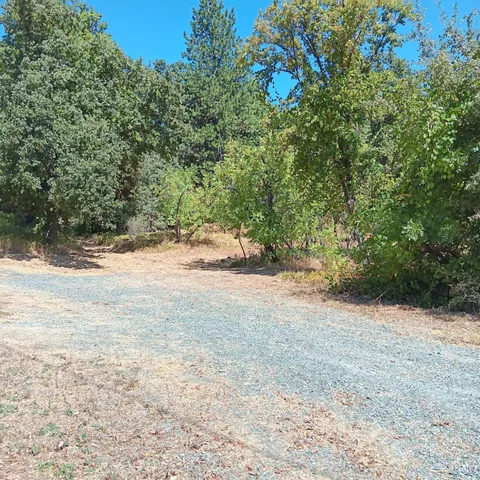 a view of dirt yard with a large tree