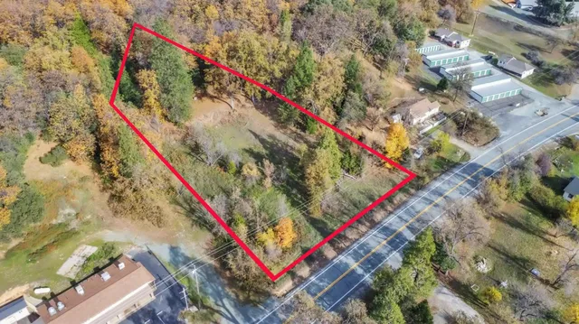 a city view with large trees and playing on a wall