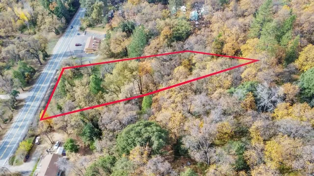 a view of a flower in a park