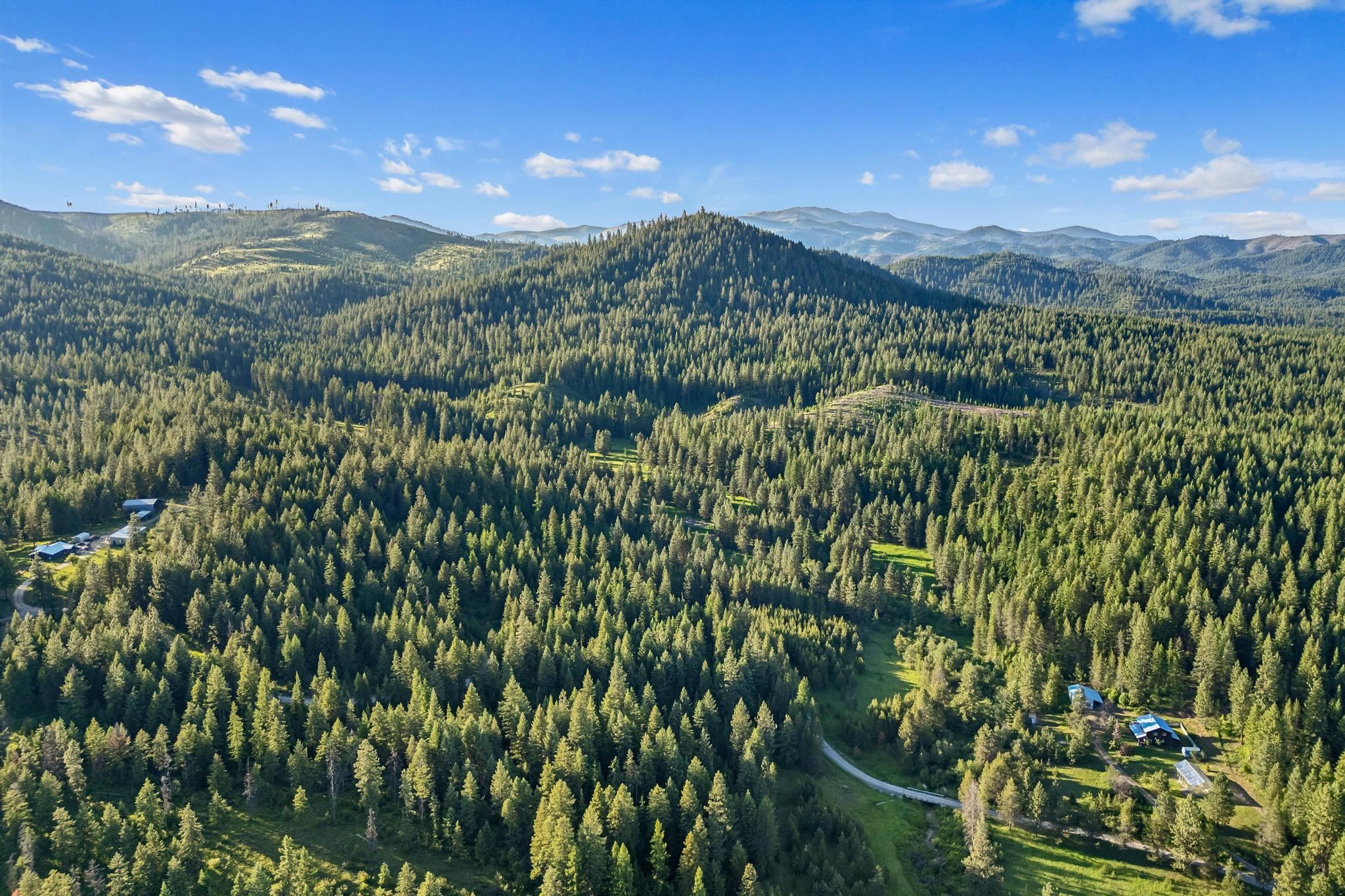 Nka Bear Ridge Way Springdale, WA 99173 - Photo 1 of 28