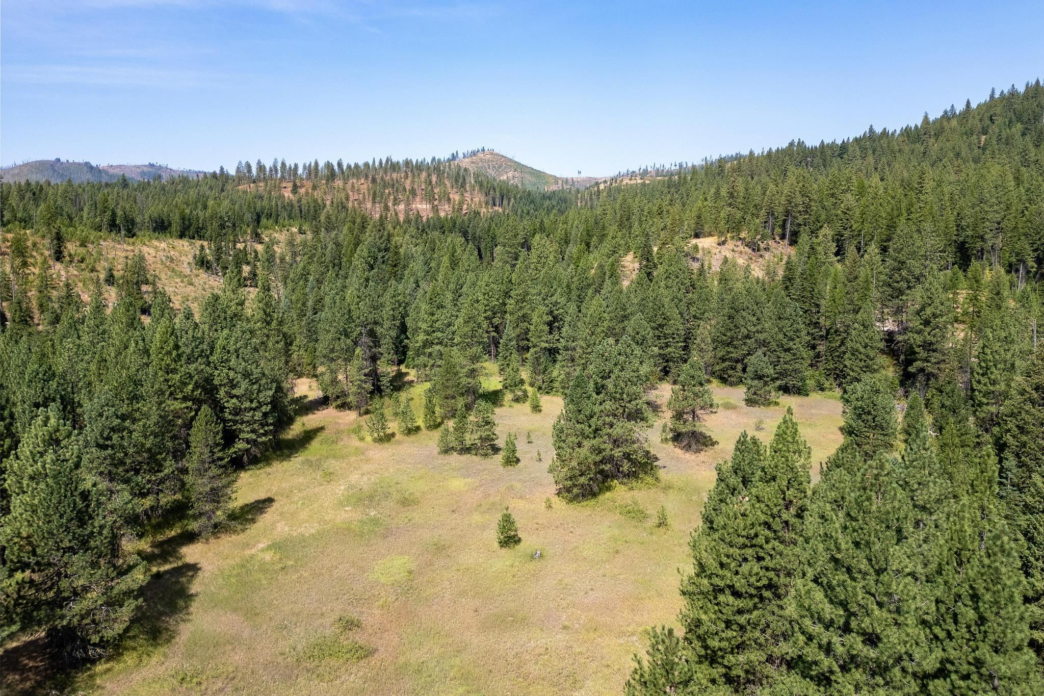 Nka Bear Ridge Way Springdale, WA 99173 - Photo 12 of 28