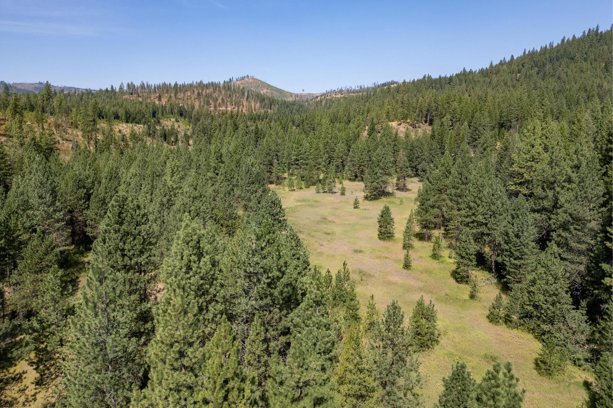 Nka Bear Ridge Way Springdale, WA 99173 - Photo 17 of 28