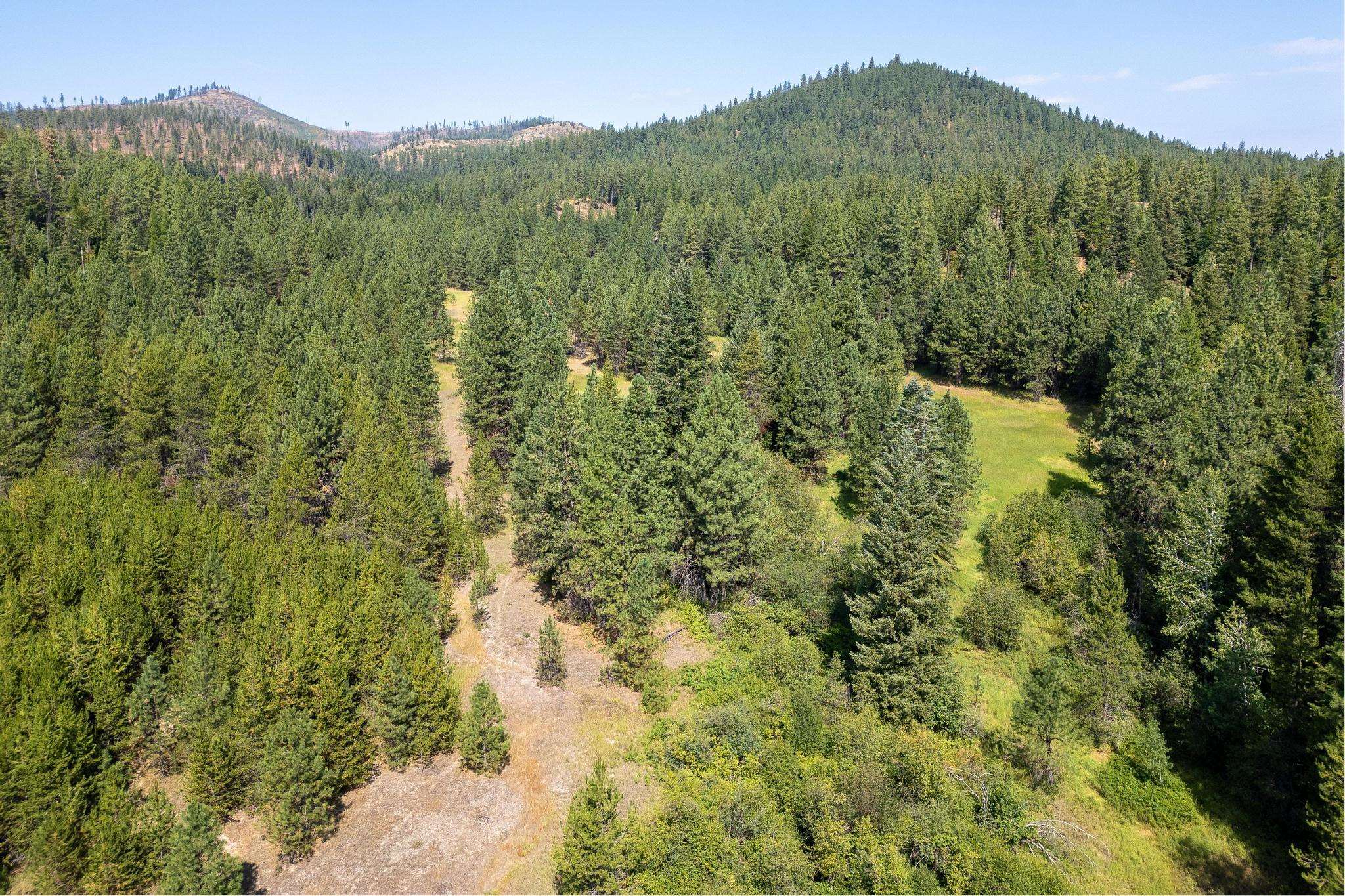 Nka Bear Ridge Way Springdale, WA 99173 - Photo 21 of 28