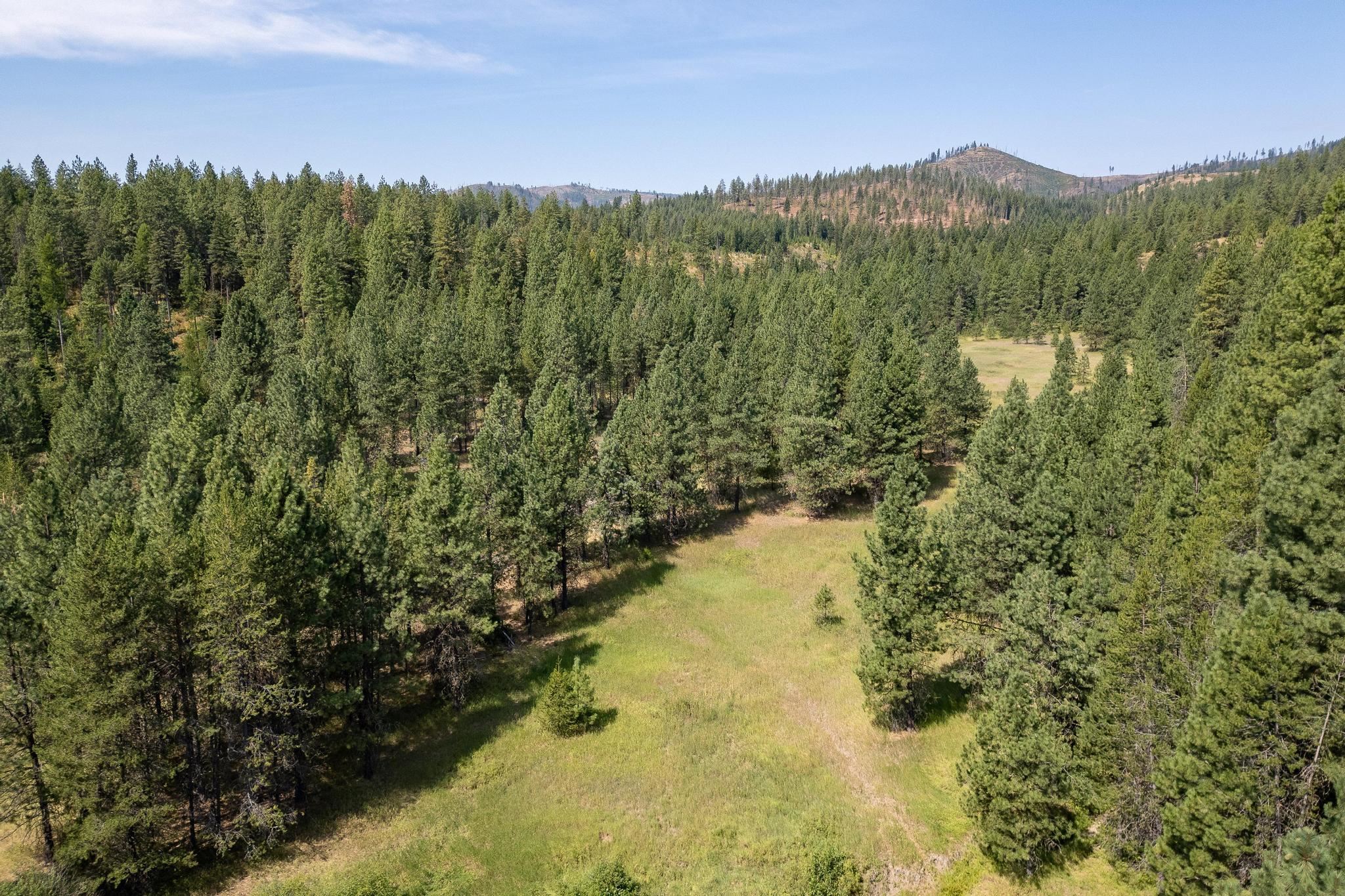 Nka Bear Ridge Way Springdale, WA 99173 - Photo 25 of 28