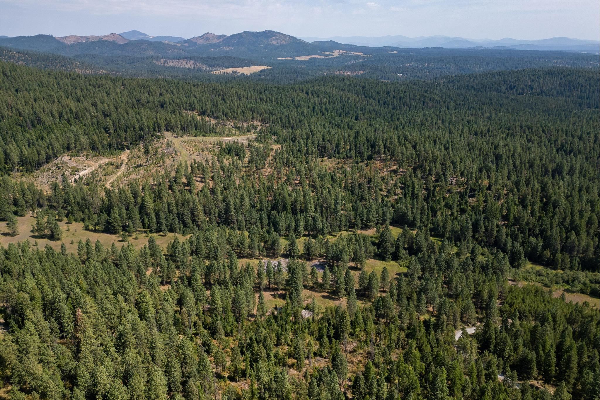 Nka Bear Ridge Way Springdale, WA 99173 - Photo 27 of 28