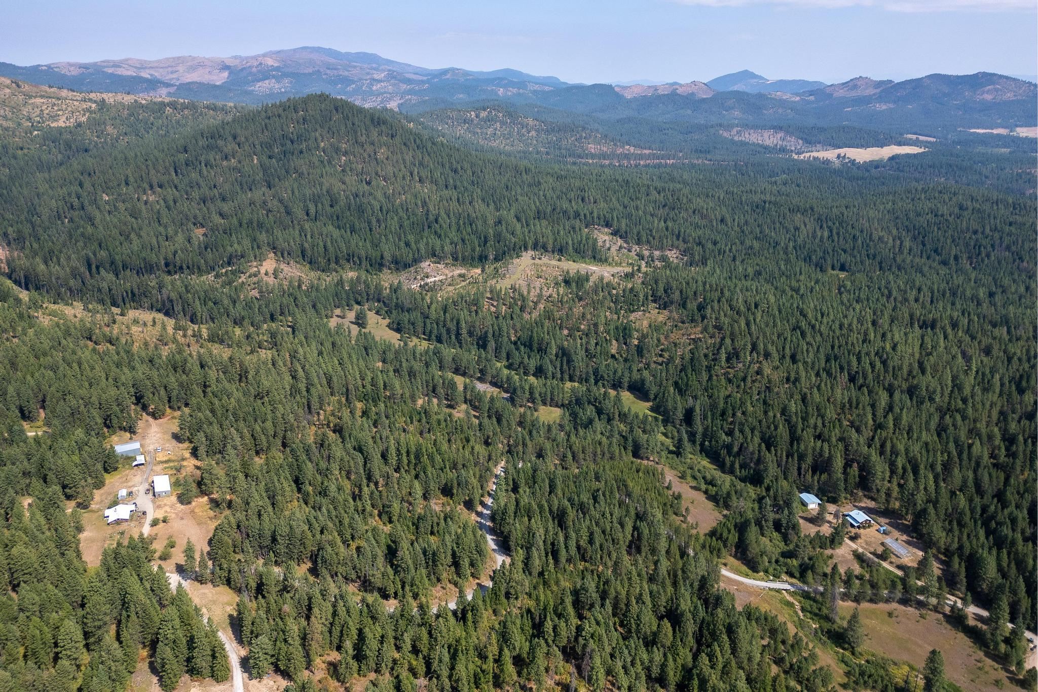 Nka Bear Ridge Way Springdale, WA 99173 - Photo 4 of 28