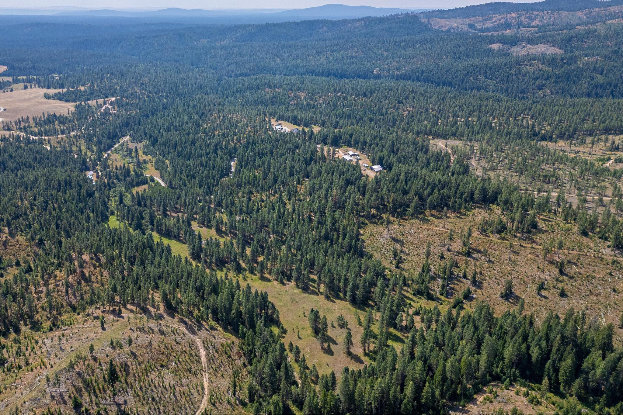 Nka Bear Ridge Way Springdale, WA 99173 - Photo 7 of 28
