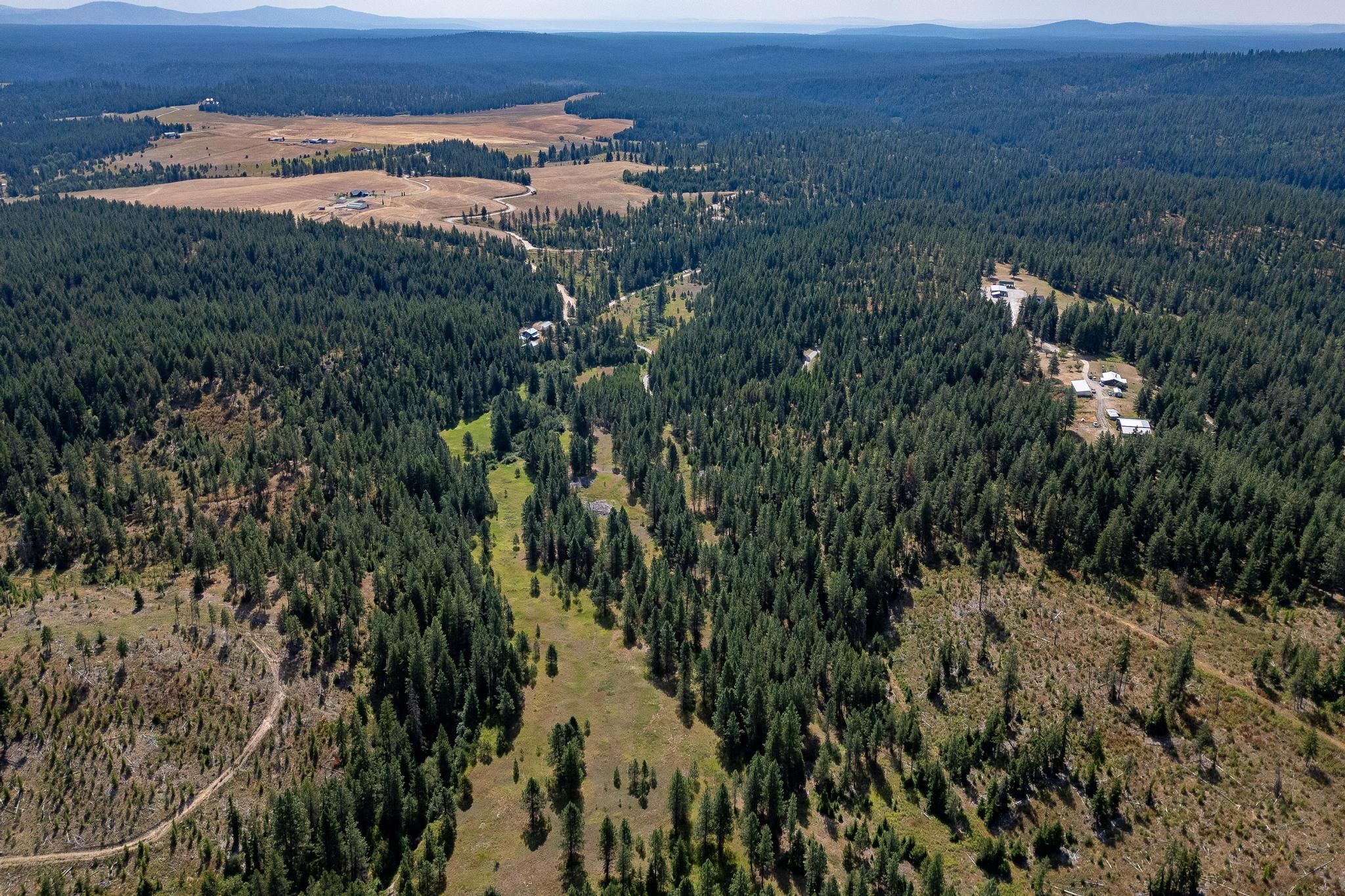 Nka Bear Ridge Way Springdale, WA 99173 - Photo 8 of 28