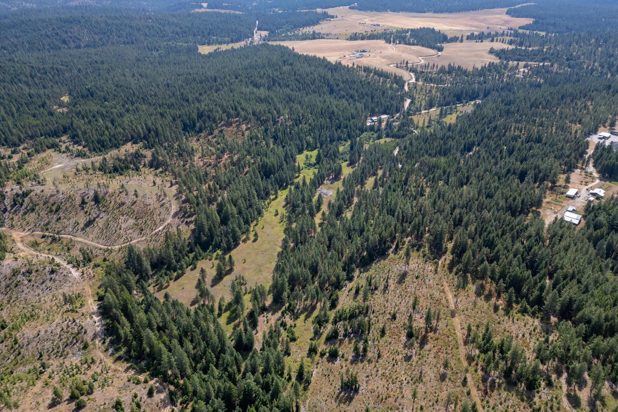 Nka Bear Ridge Way Springdale, WA 99173 - Photo 9 of 28
