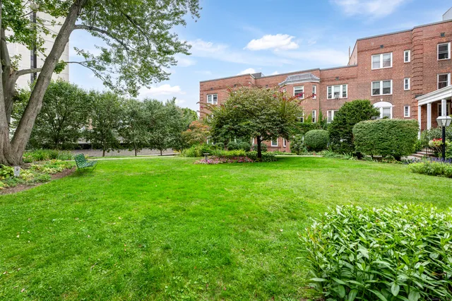 a view of a big yard with plants and large trees