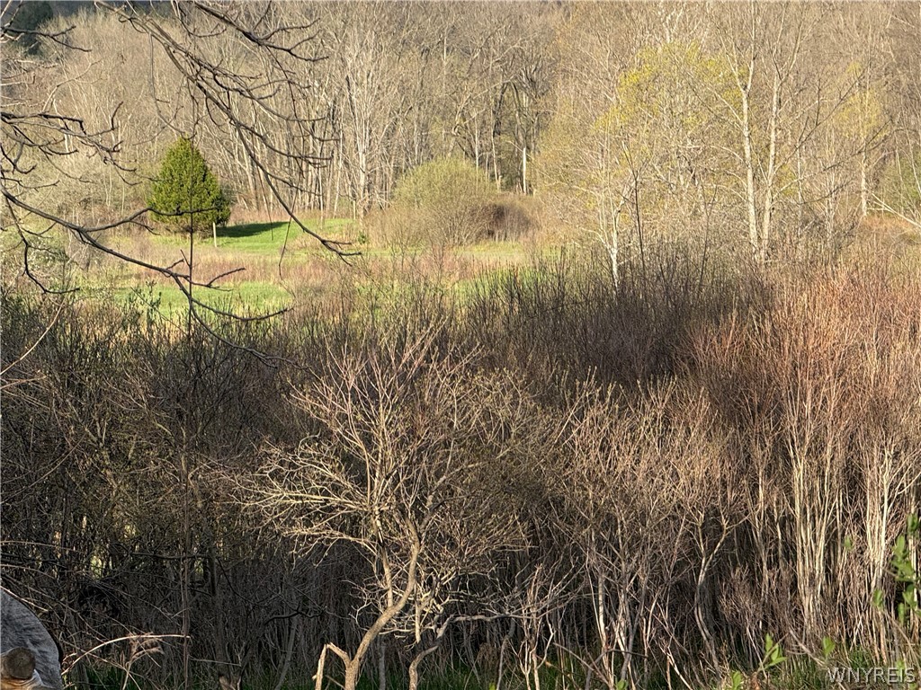 0 Hubbard Road East Aurora, NY 14052 - Photo 3 of 10