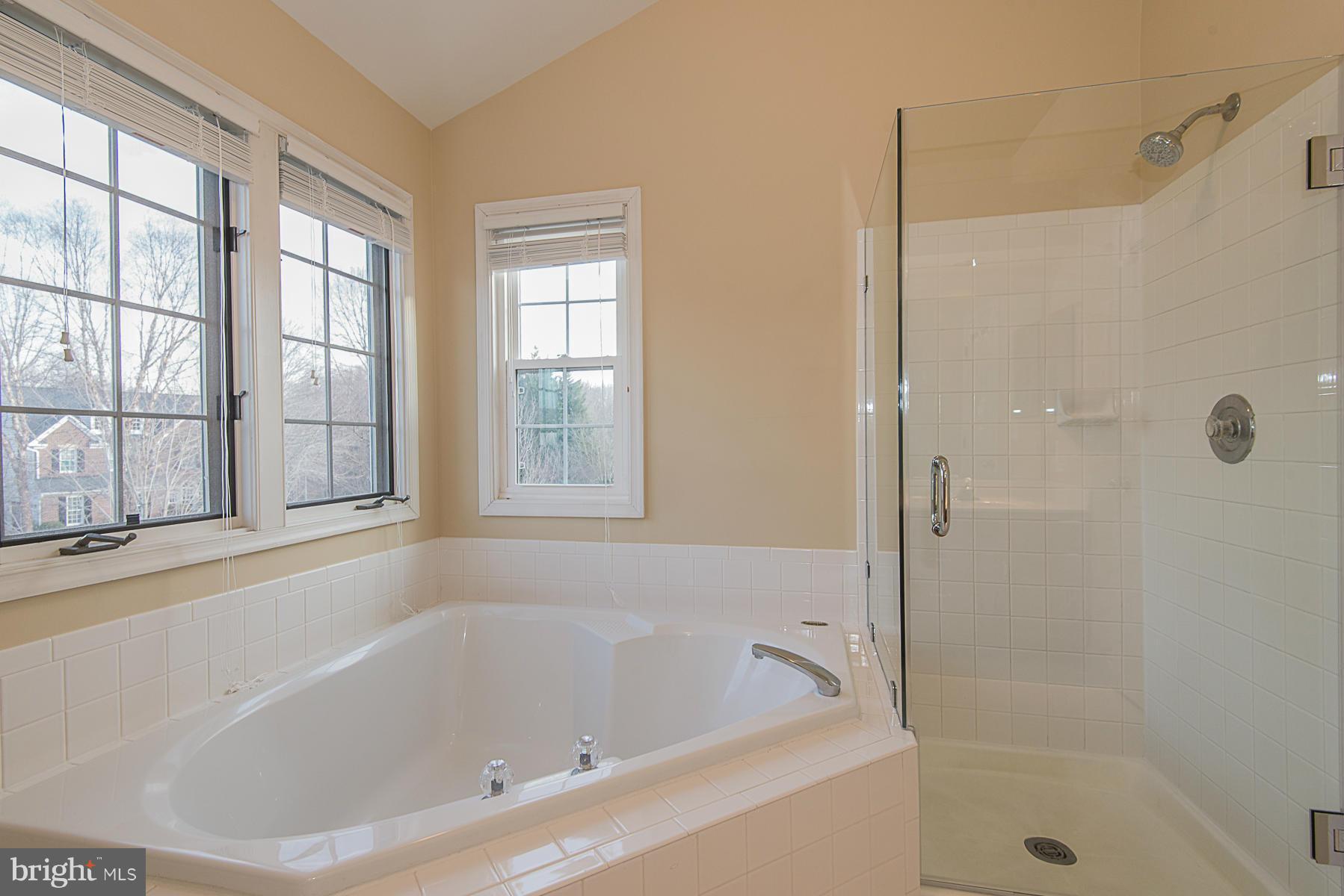 10344 Wetherburn Road Ellicott City, MD 21163 - Photo 24 of 30 Bath (Master)