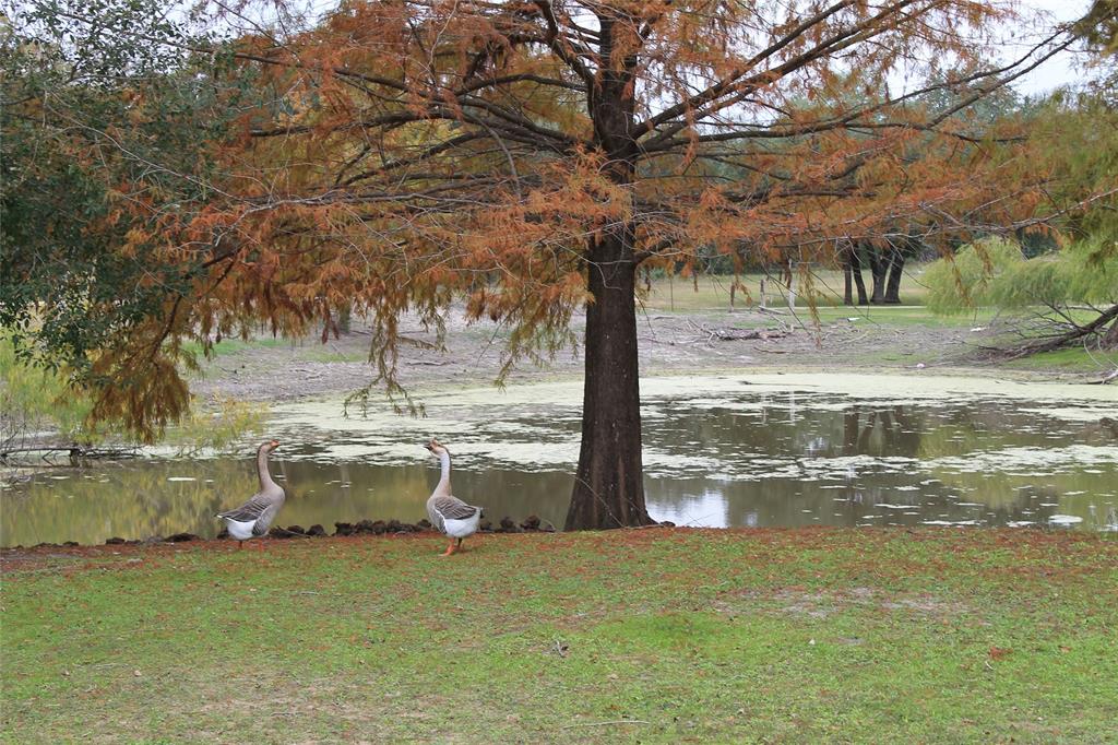 4110 Fm 609 Flatonia Tx 78941  