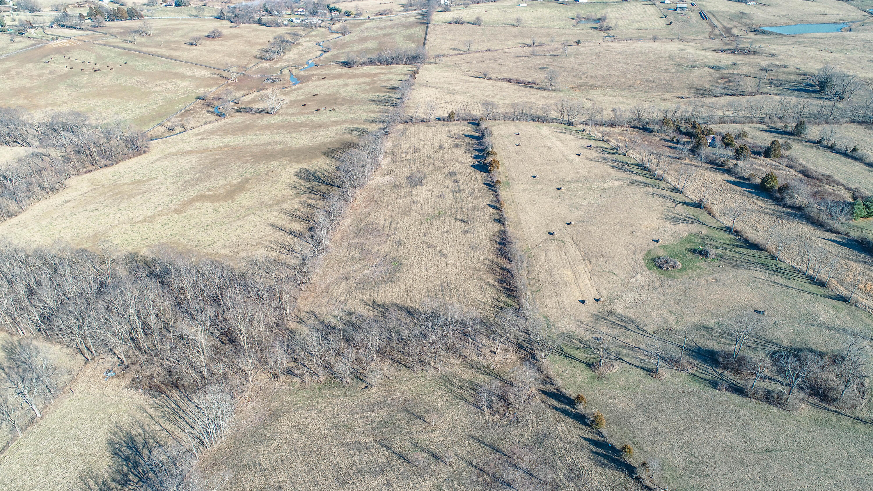 1656 Peacock Road Paris, KY 40361 - Photo 50 of 54 DJI_0037