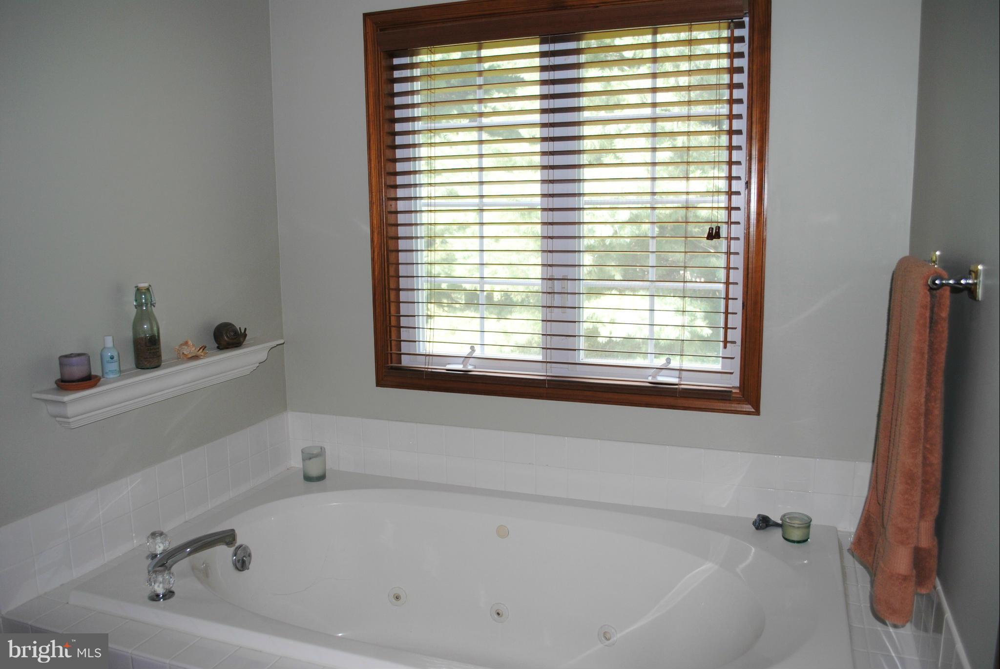 25814 John Hanson Road Chestertown, MD 21620 - Photo 18 of 28 Bath (Master)