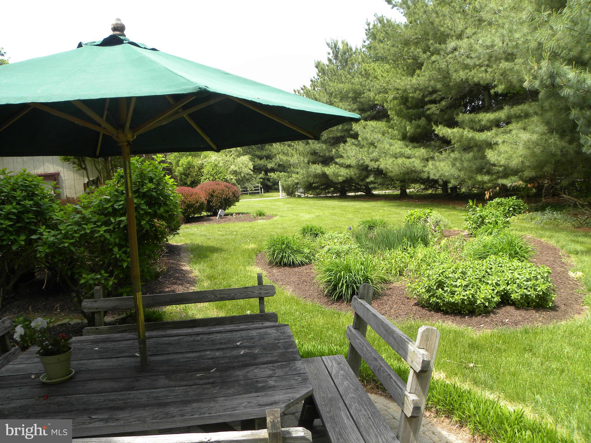 25814 John Hanson Road Chestertown, MD 21620 - Photo 27 of 28 Great back yard & patio