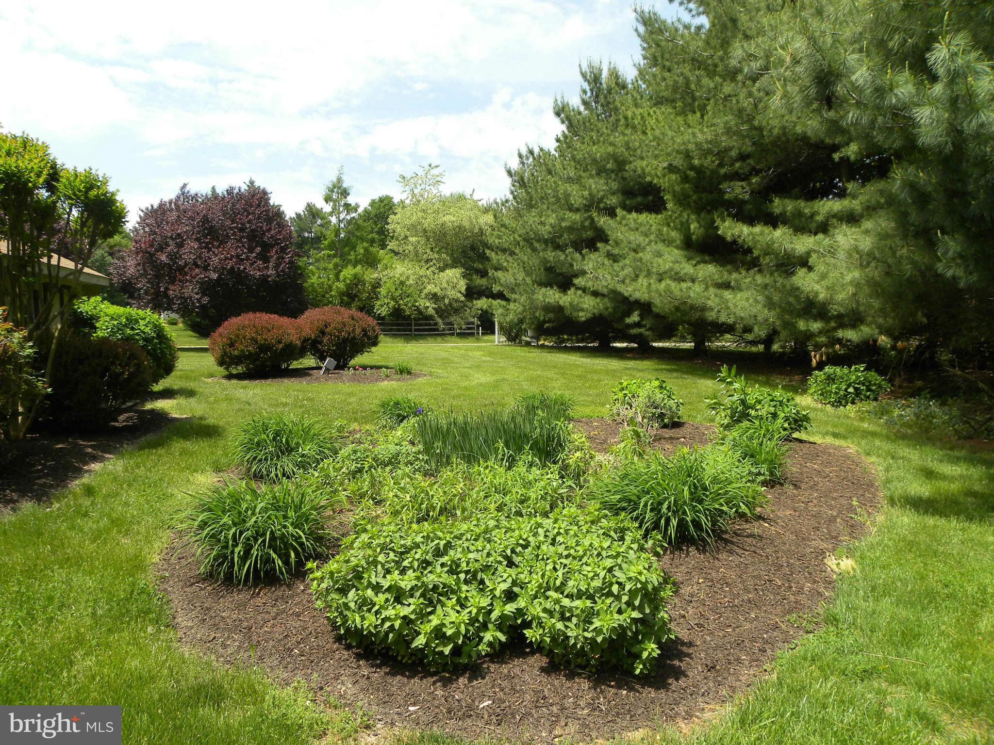 25814 John Hanson Road Chestertown, MD 21620 - Photo 28 of 28 Well Landscaped