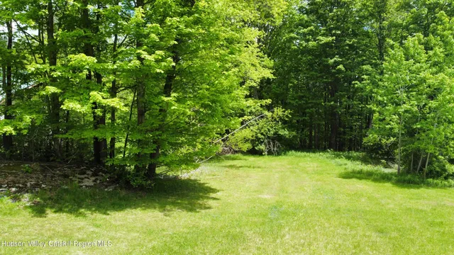 a view of yard with green space
