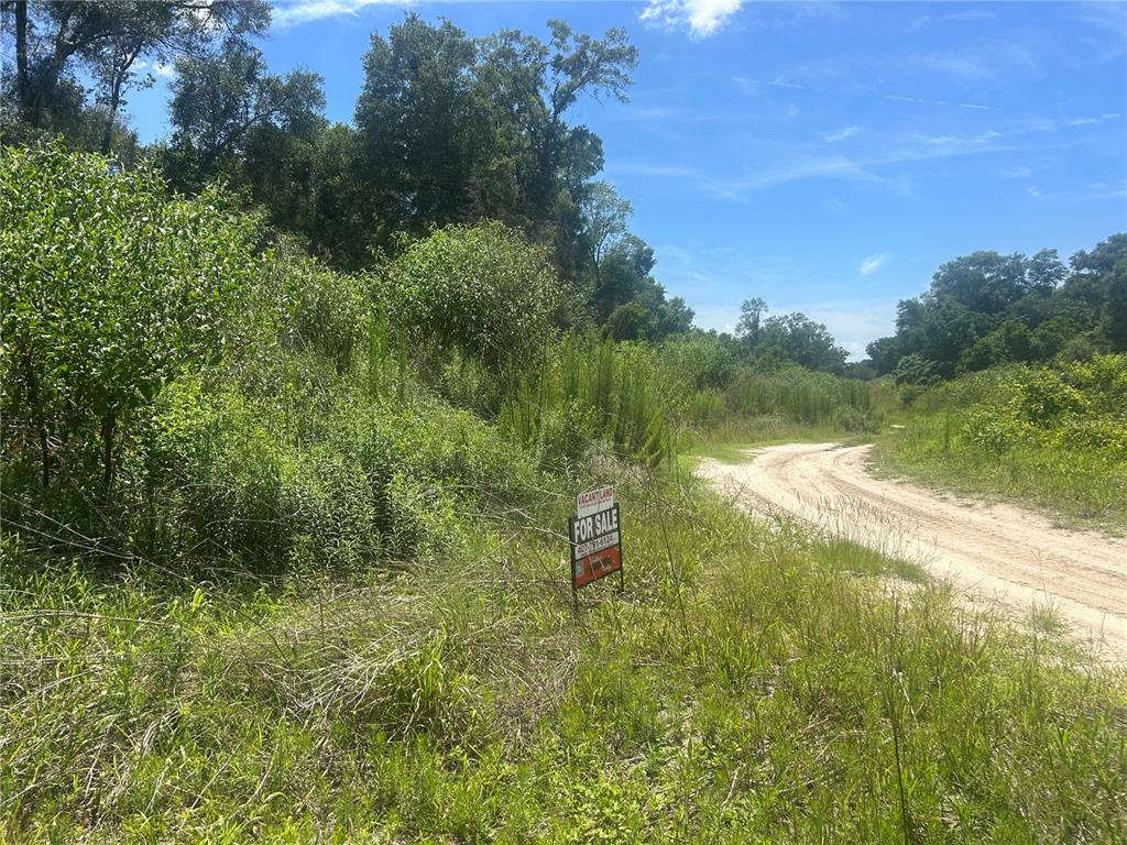 4598 East Jay Street Inverness, FL 34453 - Photo 2 of 2