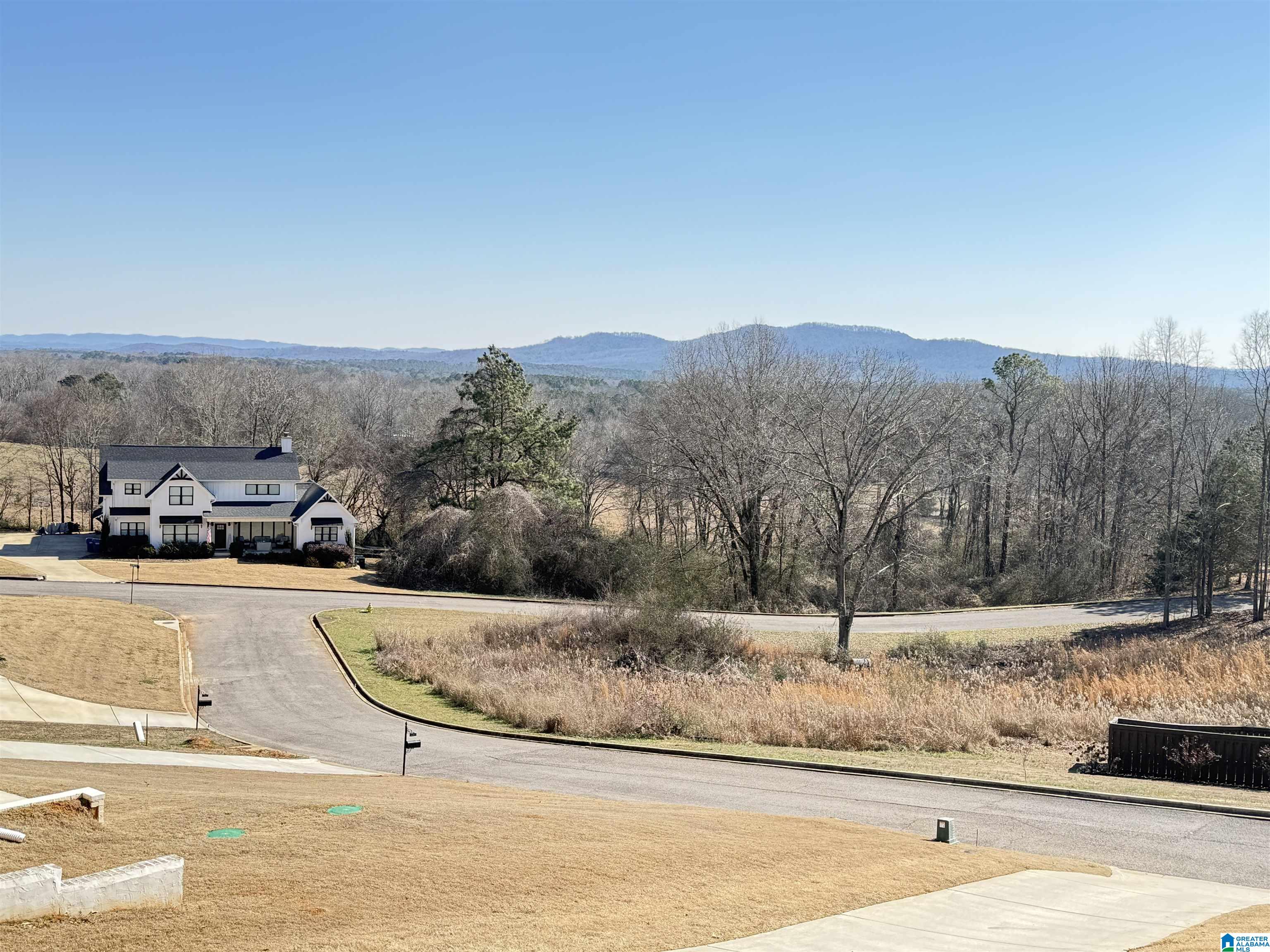 220 Cottage Court Springville, AL 35146 - Photo 13 of 53