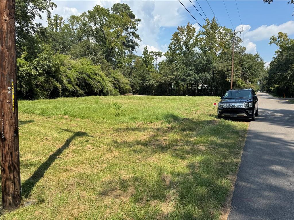 250 Wilkinson Street Mandeville, LA 70448 - Photo 2 of 2