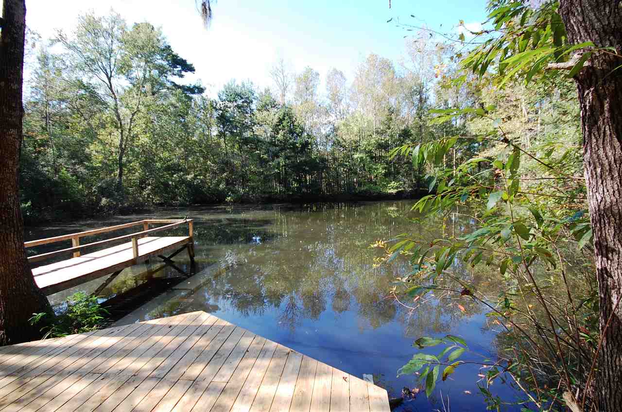 1961 Raymond Tucker Road Tallahassee, FL 32311 - Photo 24 of 25