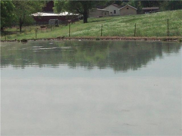 306 Steelman Loop Road Fayetteville, TN 37334 - Photo 3 of 20 Gallery Image 3