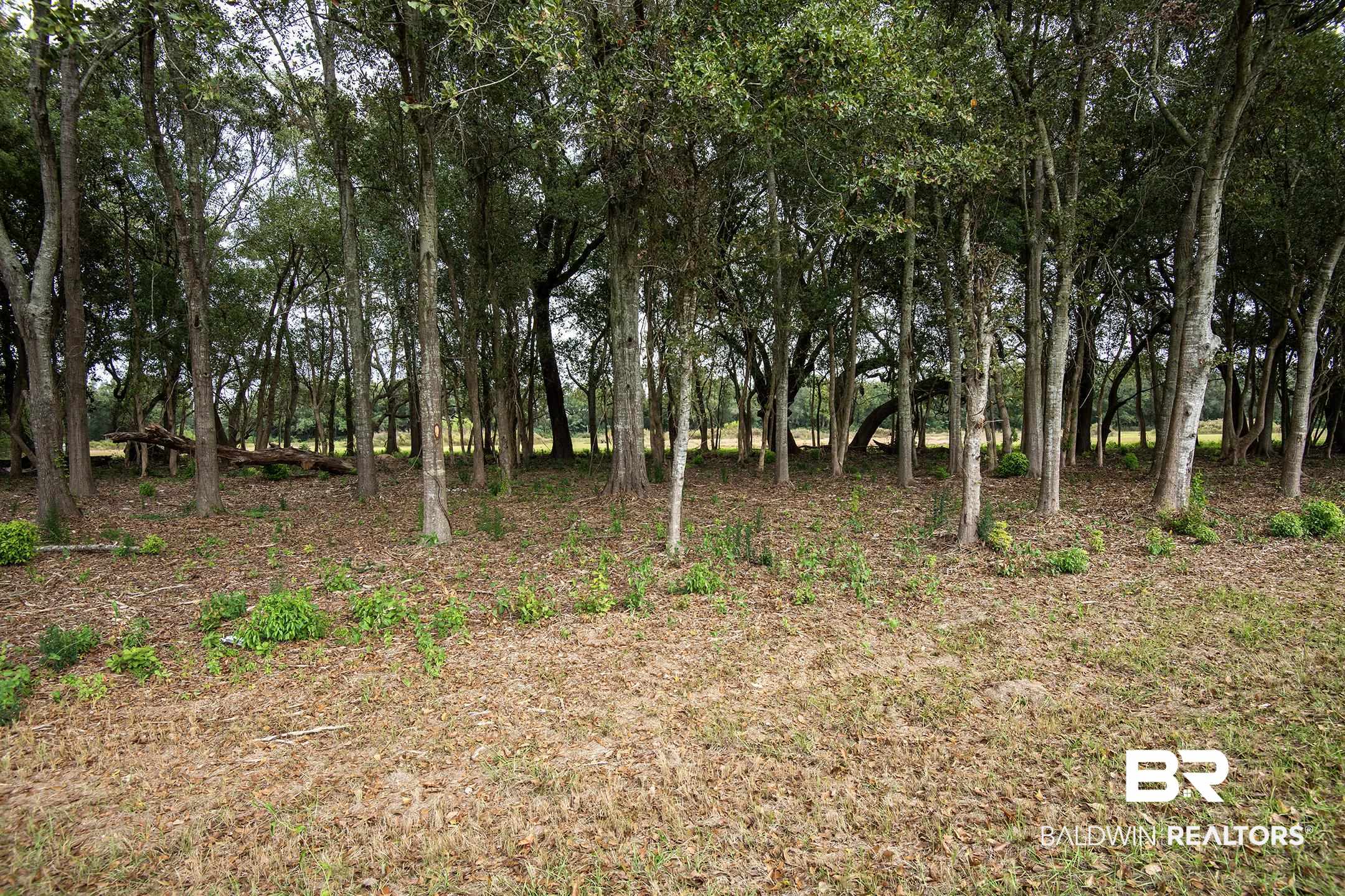 Lot 11 Vernant Park Road Foley, AL 36535 - Photo 4 of 4 Gallery Image 4