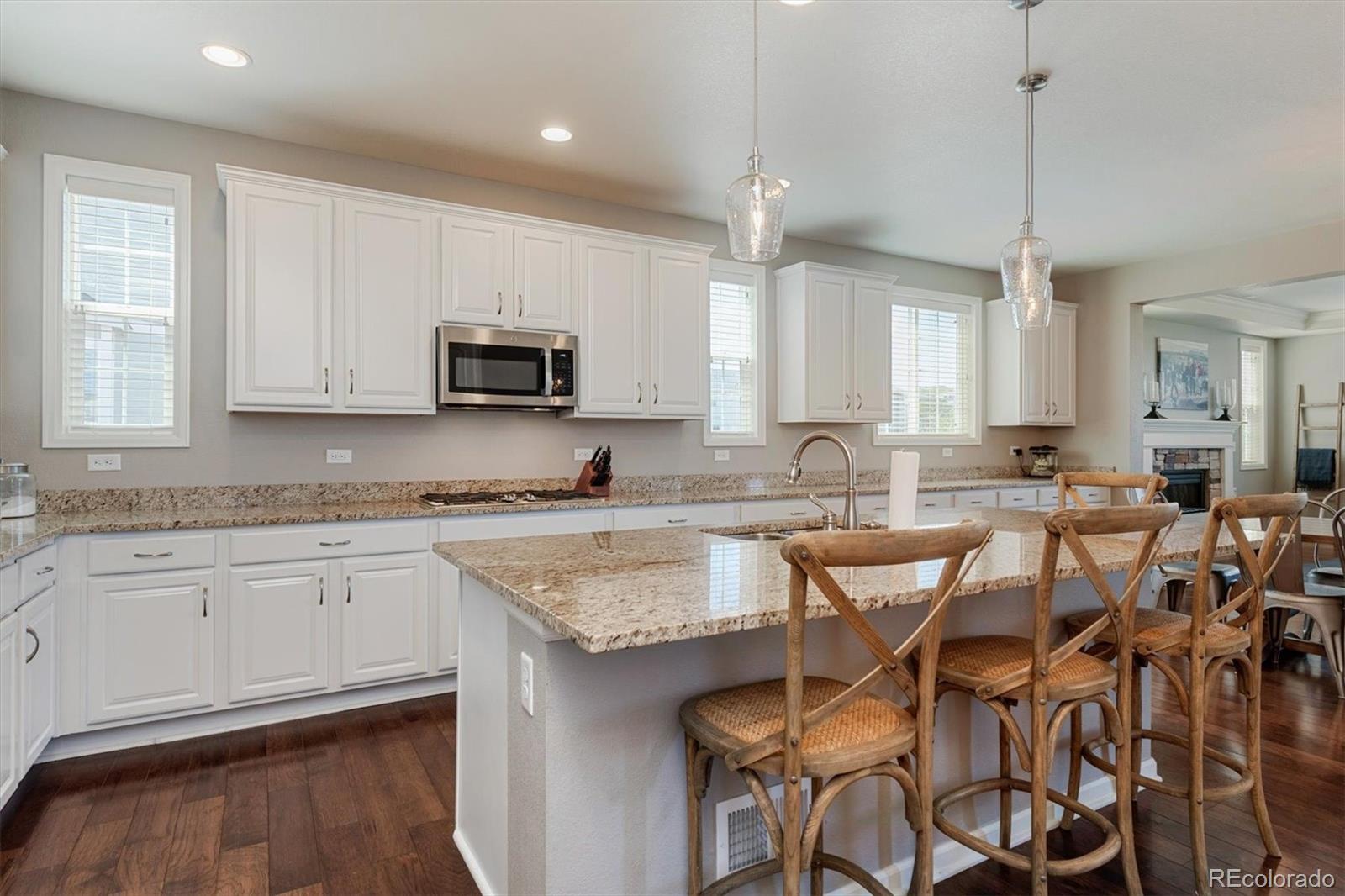 2688 Rising Moon Way Castle Rock, CO 80109 - Photo 8 of 40 Gallery Image 8