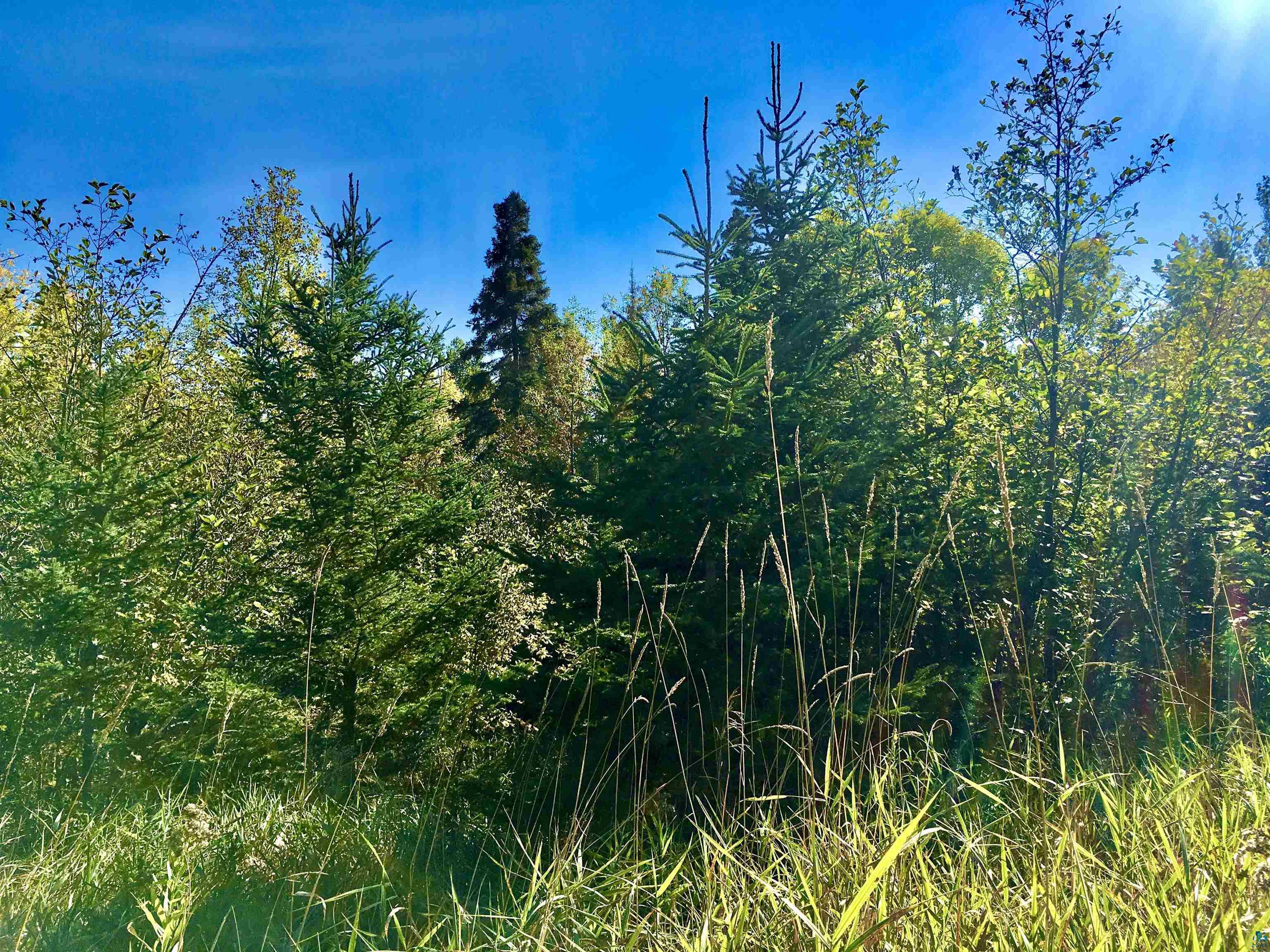 X36 Isak Ridge Lutsen, MN 55612 - Photo 6 of 9 View of local wilderness