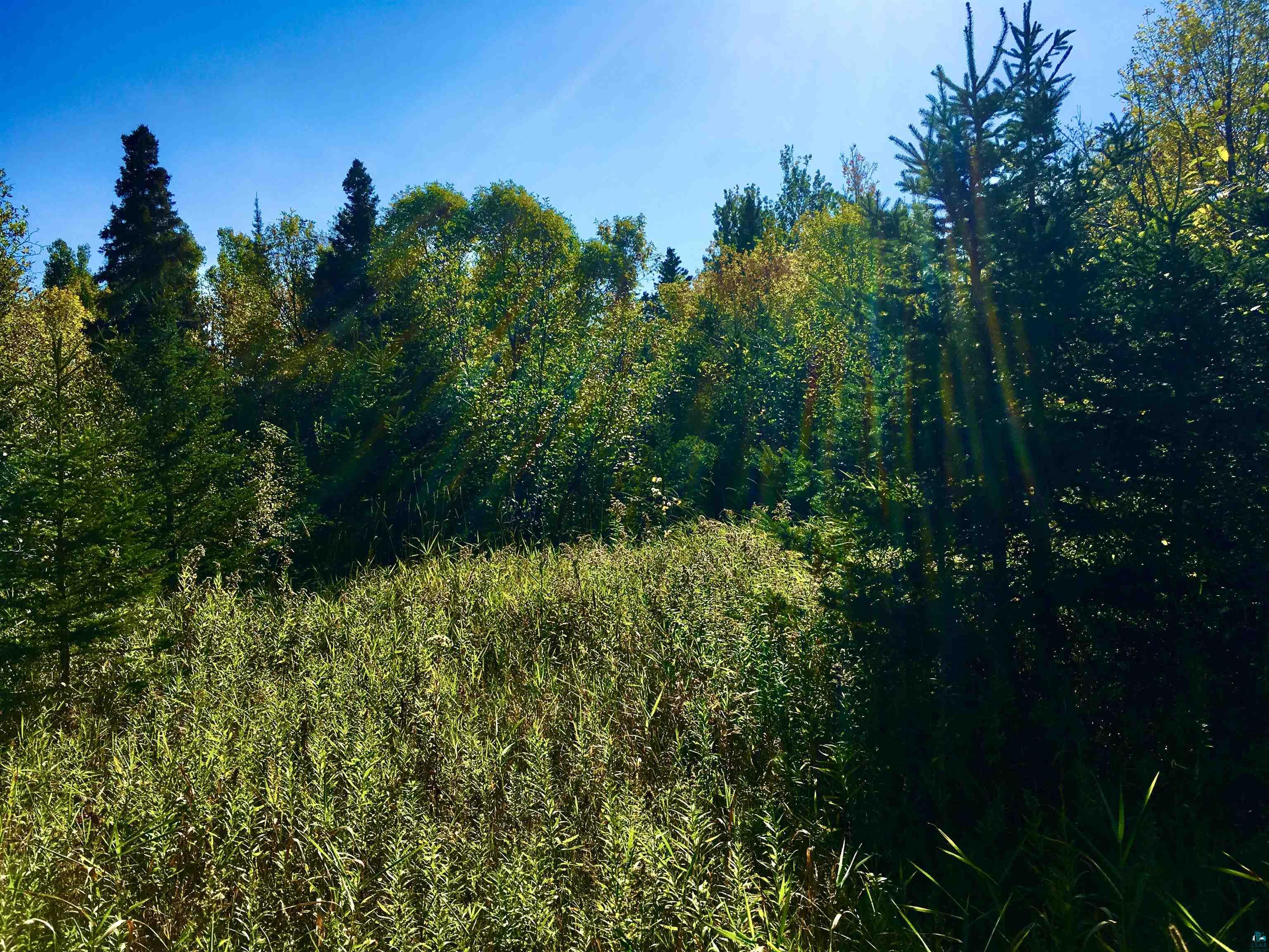 X36 Isak Ridge Lutsen, MN 55612 - Photo 7 of 9 View of local wilderness