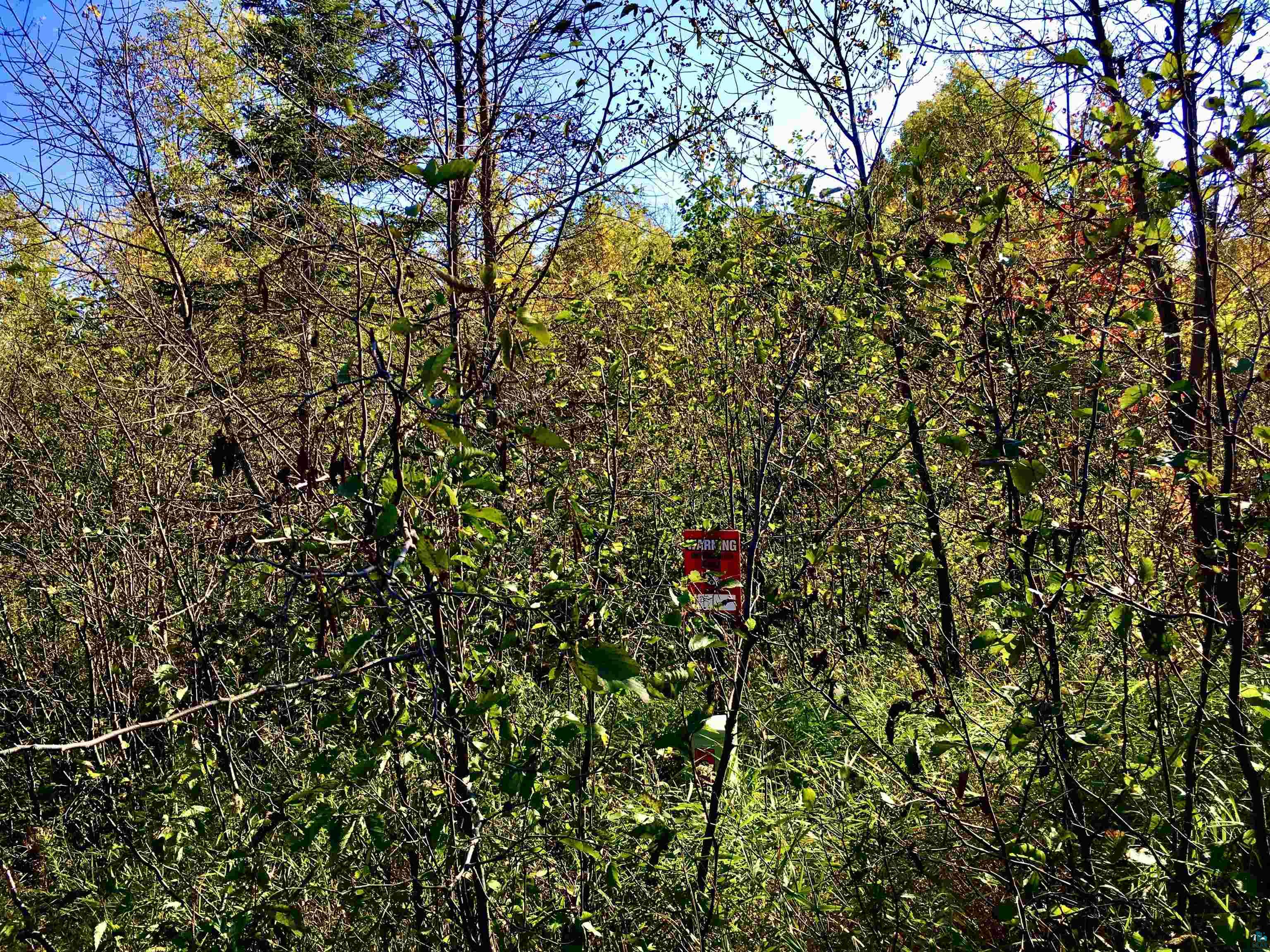 X36 Isak Ridge Lutsen, MN 55612 - Photo 8 of 9 View of local wilderness