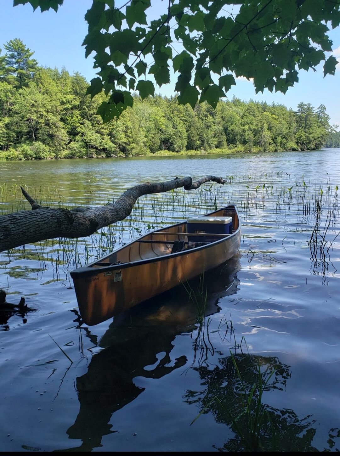 558 Castle Island Road Mount Vernon, ME 04352 - Photo 64 of 97 Canoe at Waterfront
