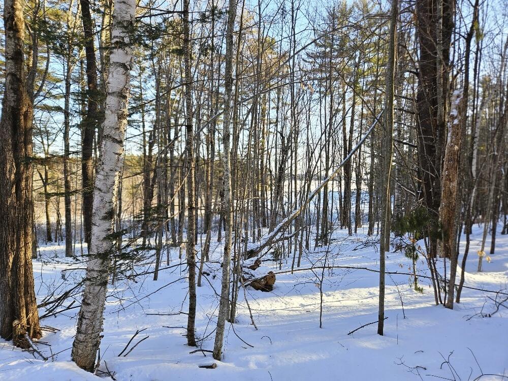 558 Castle Island Road Mount Vernon, ME 04352 - Photo 79 of 97 Seasonal Lake View