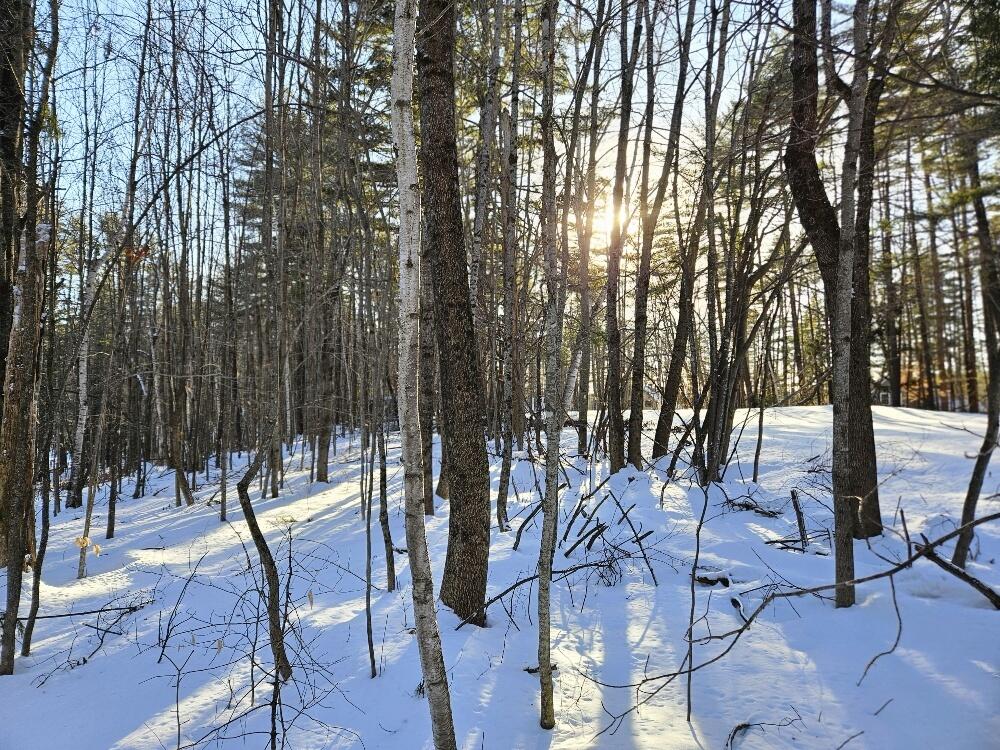 558 Castle Island Road Mount Vernon, ME 04352 - Photo 80 of 97 Back Yard