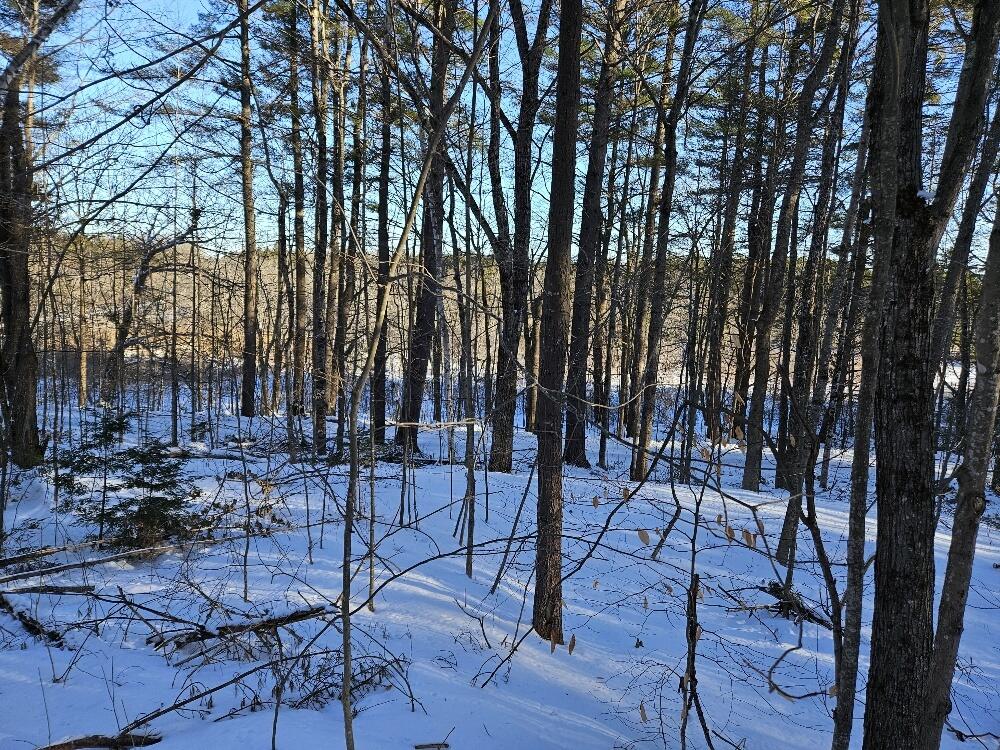 558 Castle Island Road Mount Vernon, ME 04352 - Photo 81 of 97 Side Yard
