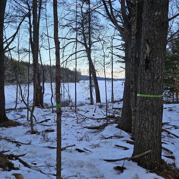 558 Castle Island Road Mount Vernon, ME 04352 - Photo 83 of 97 20240210_154535_resized