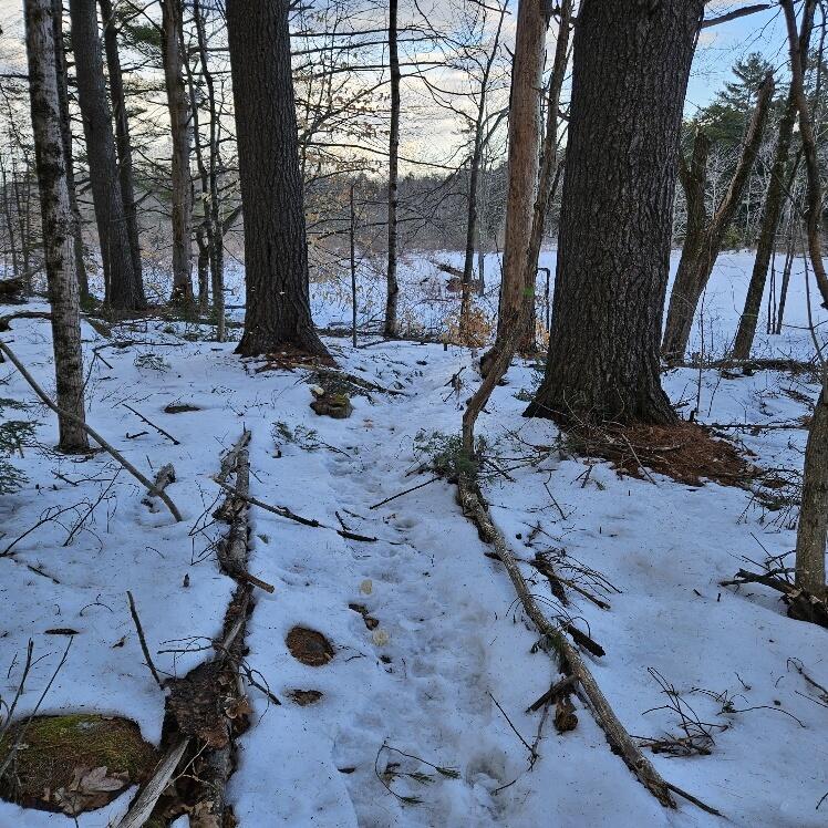 558 Castle Island Road Mount Vernon, ME 04352 - Photo 84 of 97 20240210_154543_resized