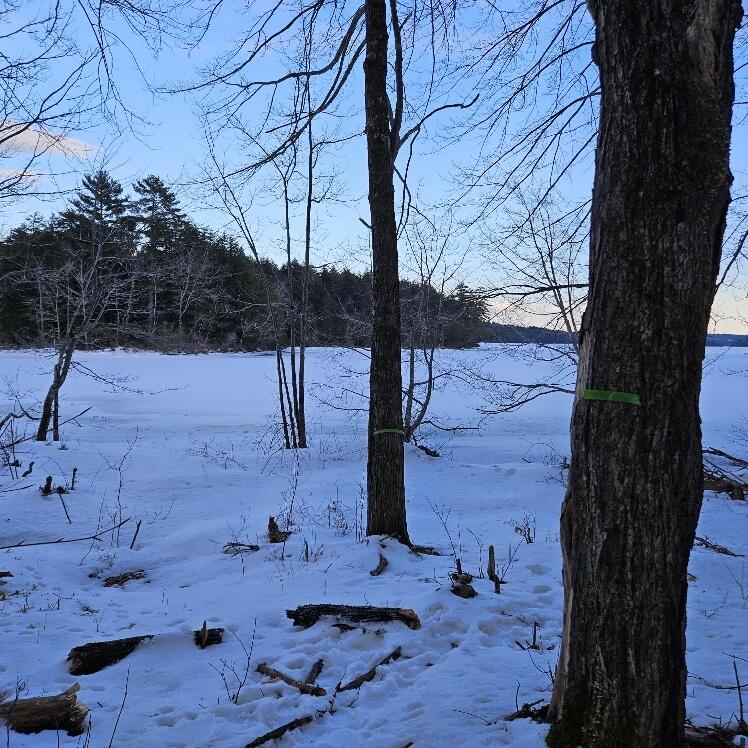 558 Castle Island Road Mount Vernon, ME 04352 - Photo 85 of 97 20240210_154557_resized