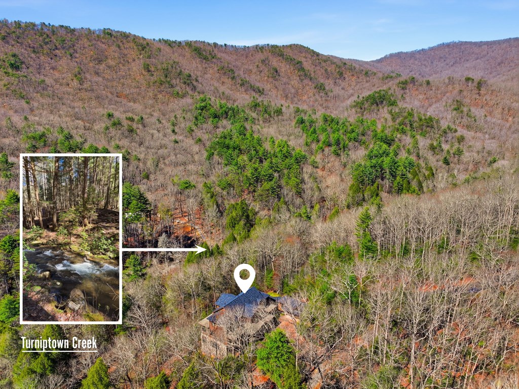 124 Wilderness Way Ellijay, GA 30536 - Photo 4 of 117
