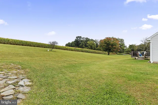 a view of a field with an ocean