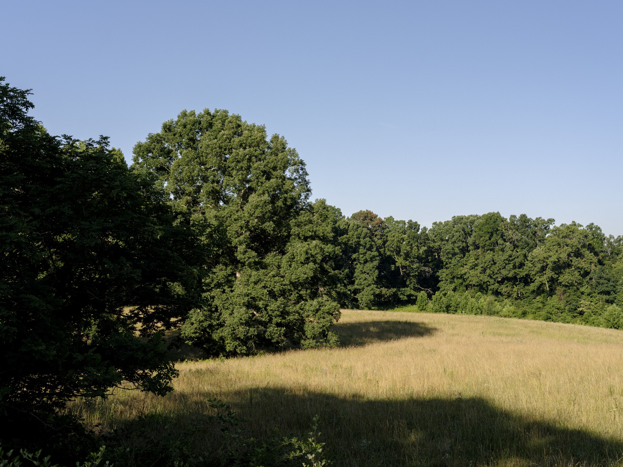 7725 Caney Fork Road Fairview, TN 37062 - Photo 45 of 59